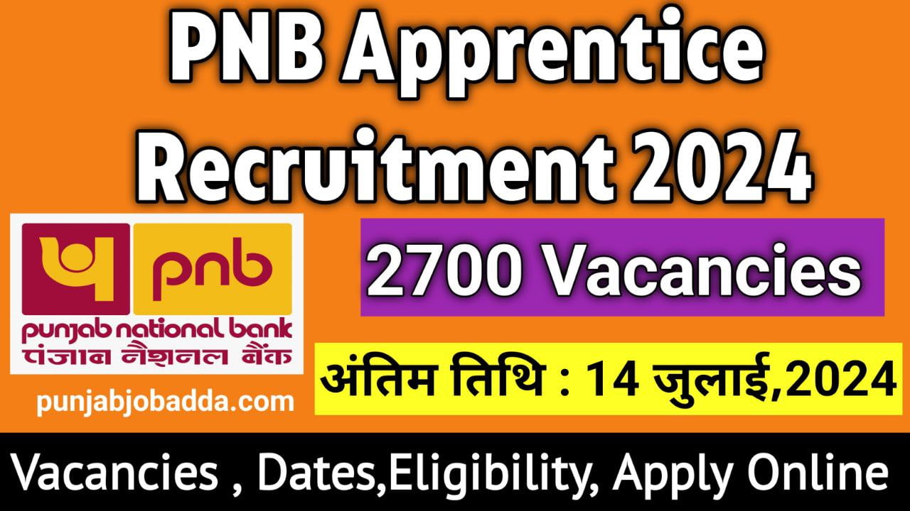 pnb apprentice recruitment 2024