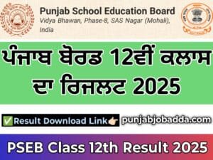 PSEB 12th Result 2025