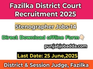 District Court Fazilka Recruitment 2025