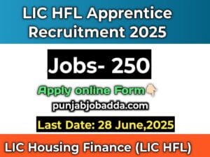 LIC HFL Apprentice Recruitment 2025