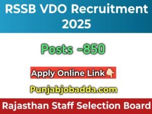 RSSB VDO Recruitment 2025