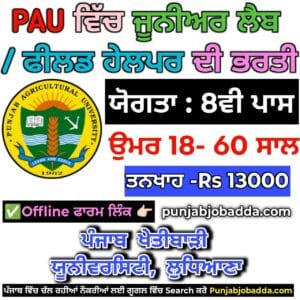 PAU Junior Lab Field Helper Recruitment 2025