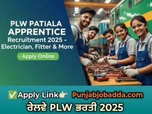 PLW Apprentice Recruitment 2025
