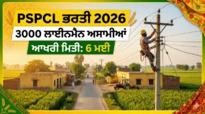 PSPCL ALM Recruitment 2026